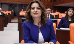 DEM Parti adına İmralı'ya gidecek kişi belli oldu