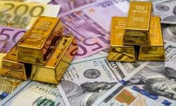 TÜİK açıkladı: İşte Ekim ayında en çok hangi yatırım aracı