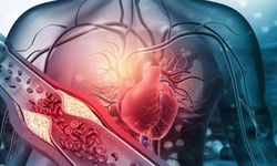 Dr. Gürkarhan: Sertleşme sorunu kalp hastalığı belirtisi olabilir