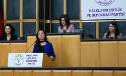 Hatimoğulları: İmralı Görüşmesi Türkiye için Tarihi Adım