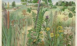 Ekolojik Kazananlar: Hangi Türler Dünyayı Ele Geçiriyor?