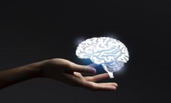 9, 32, 66 ve 83: Beynimiz ne zaman "yetişkin moduna" geçiyor?