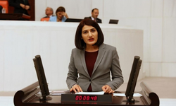 Eski HDP milletvekili Semra Güzel tahliye edildi