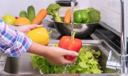 Gribe hangi yiyecekler iyi gelir?