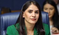 “Barış Türkiye’yle sınırlı değil: Bütçede çelişki var”