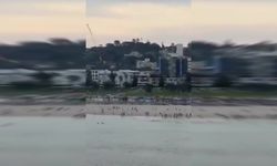 Avustralya’da plajda silahlı saldırı: 9 ölü, 12 kişi yaralı