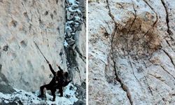 İtalya’da 210 milyon yıllık dinozor ayak izleri bulundu