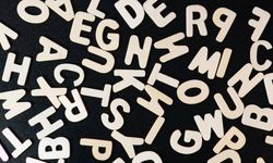 TDK, 2025’in kelimesi için oylama başlattı