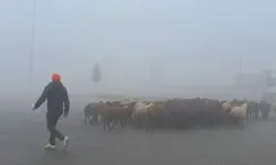 Türkiye'de hava kirliliği raporu: Diyarbakır en temiz ikinci il