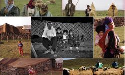 Karacadağ’da su tükendi: Koçerlerin yaşamı da kuruyor