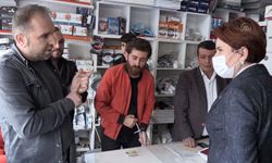 Akşener’e ‘Burası Kürdistan’ diyen Cemil Taşkesen’e hapis cezası