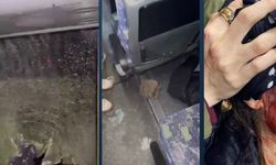 Bodrum'da Amedspor taraftarlarına saldırı