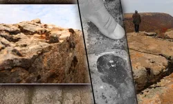 Diyarbakır'da milyonlarca yıllık fosiller bulundu