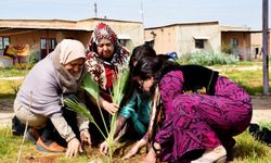 Jinwar: Savaşın Ortasında Kurulan Kadın Köyü