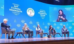 Kürt Konferansı: Yeni barış sürecinin sınavı ve imkanları