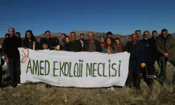 Kürt kentlerinde ekoloji direnişi: 10 bin palamut ekildi