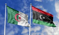 Cezayir, Fransız sömürgeciliğini suç sayan yasayı kabul etti