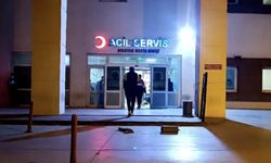 Mardin’de kadın cinayeti: İki kız kardeş evde öldürüldü