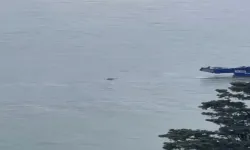 Boğaz’da ceset bulundu: Rus yüzücüye ait olabilir