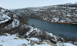 Dicle’de doğaseverlerin yeni rotası: Bawkan Vadisi