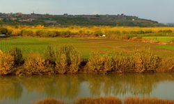 Hevsel Bahçeleri neden ekolojik tehdit altında?