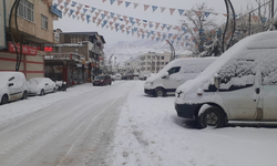 Çermik ilçesi karla kaplandı: İlçe beyaza büründü