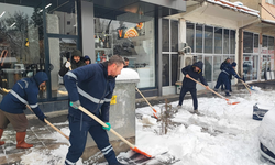 Çermik’te kar alarmı: Belediye ekipleri 7/24 sahada
