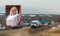 Çınar’da 45 yaşındaki kadın her yerde aranıyor