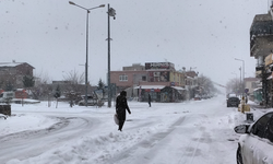 Dicle’de yoğun kar hayatı durdurdu