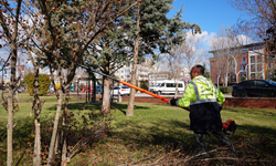 Bağlar Belediyesi parklarda budama çalışmalarını başlattı