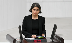 Ceylan Akça Cupolo, Amedspor'u Meclis'e taşıdı: Yanıt istedi