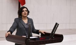 DEM Partili Sarıtaş’tan "istismar" açıklaması