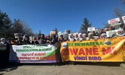 Diyarbakır'da yüzlerce kişi tek bir amaç için yürüdü