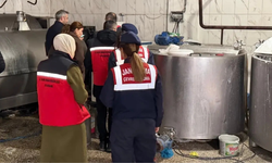 Diyarbakır’da 8 işletmeye 528 bin lira ceza, 460 kilo peynir imha edildi