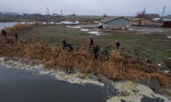 Diyarbakır’da kayıp kadının ölüm nedeni açıklandı
