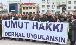 Diyarbakır’da “Umut Hakkı” yürüyüşü