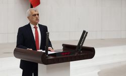 DEM Partili Gergerlioğlu: Türkler de Kürtçe öğrensin
