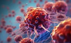 DSÖ açıkladı: Kanser önlenebilir mi?