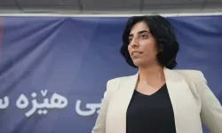 Peyman Viyan: Kürtlerin statüsü kabul edilmeli