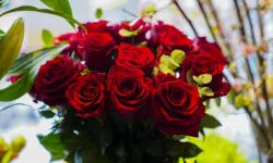 Sevgililer Günü yaklaşıyor: Gülün tanesi ne kadar?