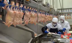 Bakanlıktan ramazan öncesi tavuk kararı