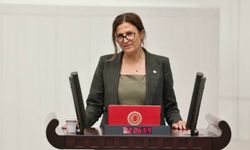 Türkan Elçi, Komisyon Raporu'nu reddetti: Onay veremem