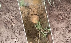 Licê’de bulunan kemikler: Biri çocuk iki kişiye ait