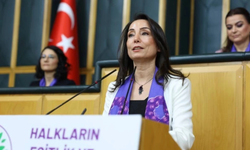 DEM Parti’den TBMM’de 8 Mart toplantısı