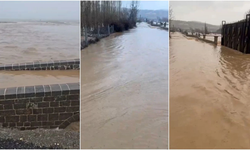 Diyarbakır’da sel felaketi: 45 koyun telef oldu