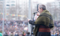 Bakırhan'dan Newroz'da çağrı: "Barış hukukunu birlikte kuralım"