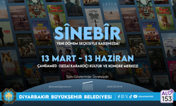 Diyarbakır’da hafta sonları sinema zamanı: 3 ayda 19 film ücretsiz gösterilecek