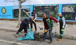 Diyarbakır Büyükşehir, taşkın riskine karşı merkez ilçelerde mazgal temizliği başlattı