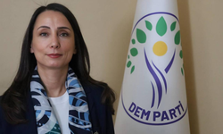 Hatimoğulları: “Sıra artık yasada” — Barış süreci için somut talepler sıralandı