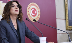 Koçyiğit'ten çağrı: "Yasaler ne zaman çıkıyor?"